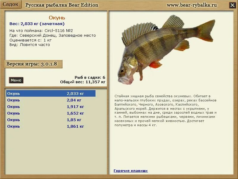 Судак семейства окуневых. Рыба семейства окуневых 6 букв. Микижа радужная форель на что ловить. Окуни и лини где живут. Назовите рыб семейства окуневых.