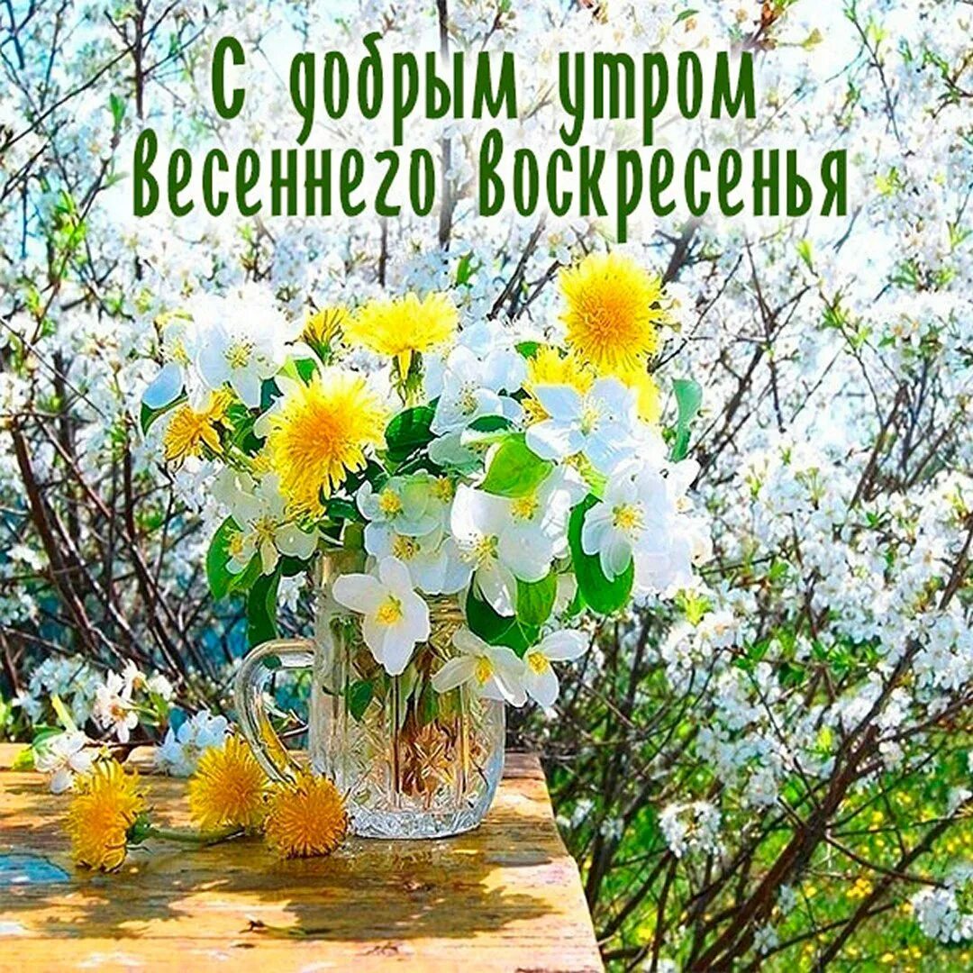 Хороших весенних выходных и отличного настроения картинки