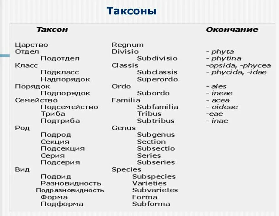 Триба это. Таксономические единицы растений таблица. Названия таксонов. Классификация растений латынь. Классификация растений таксоны.