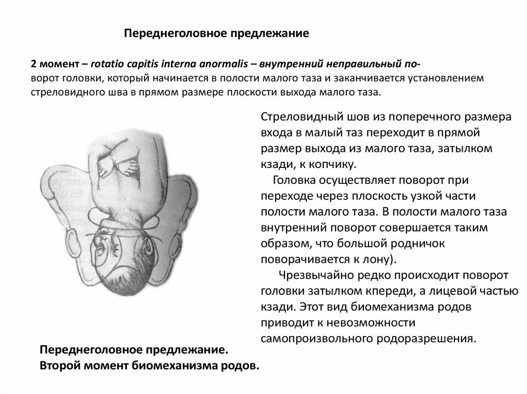 Предлежание головой. Переднеголовное предлежание биомеханизм родов. Разгибательные предлежания головки плода: переднеголовное. Лобное и лицевое предлежание плода. Биомеханизм при переднеголовном.