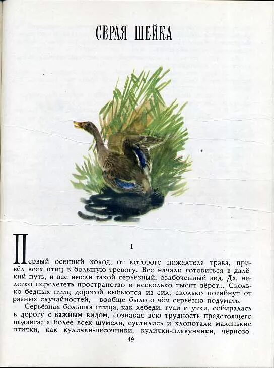 Сочинение мамин сибиряк емеля охотник. «Емеля-охотник», д.н. мамин-Сибиряк.. Д мамин Сибиряк Емеля охотник. Рассказ Мамина Сибиряка Емеля охотник. Мамин Сибиряк Емеля-охотник 1985 год.