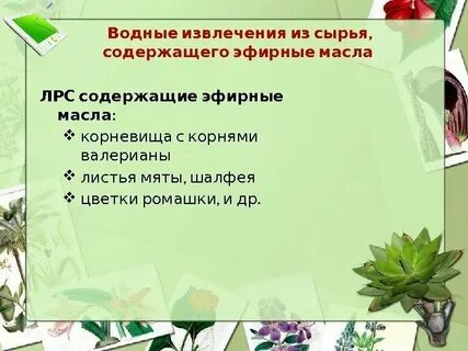 Извлечение из лекарственного растительного сырья