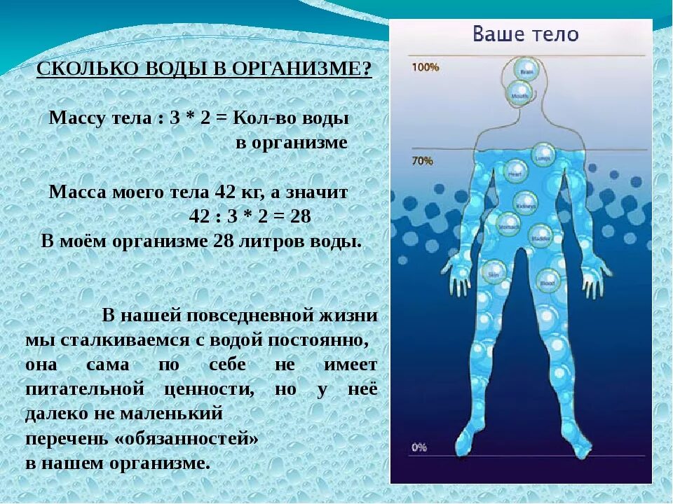 Насколько человек из воды. Вода в теле человека. Сколько иводя в организме человека. Сколько воды в теле человека. Сколько воды в человеке.