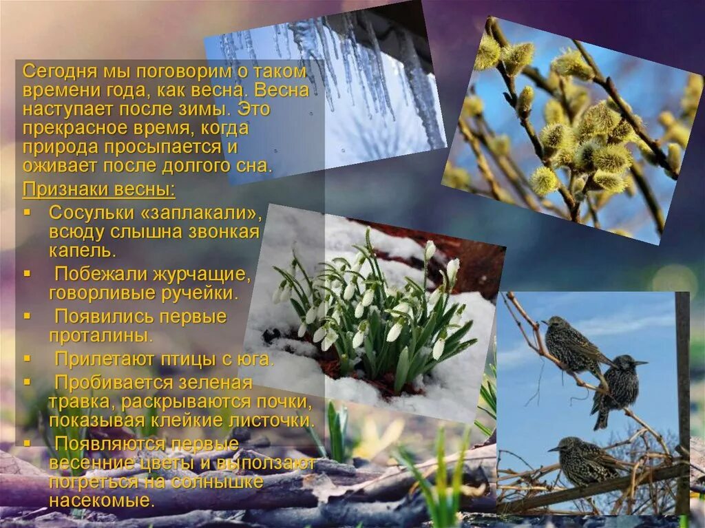 Природа оживает после зимнего сна найди. Природа просыпается после зимы. Природа просыпается весной.