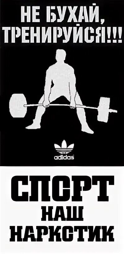 Занимайтесь спортом всегда. Не бухай тренируйся. Тренируйся. Не бухай тренируйся наклейка. Хватит бухать тренируйся.