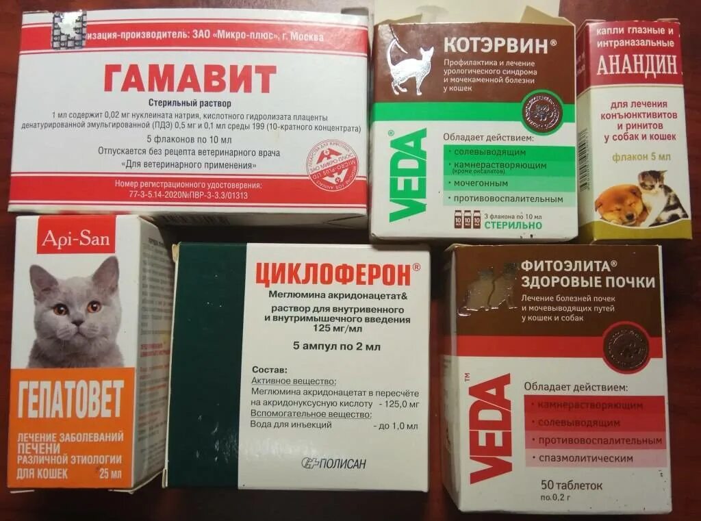 Можно ли давать антибиотик собаке. Таблетки для животных. Лекарство для котов. Препараты при мочекаменной болезни у котов. Таблетки при мочекаменной болезни у котов.