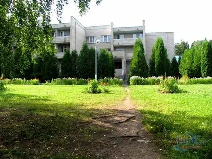 Новые лесные поляны