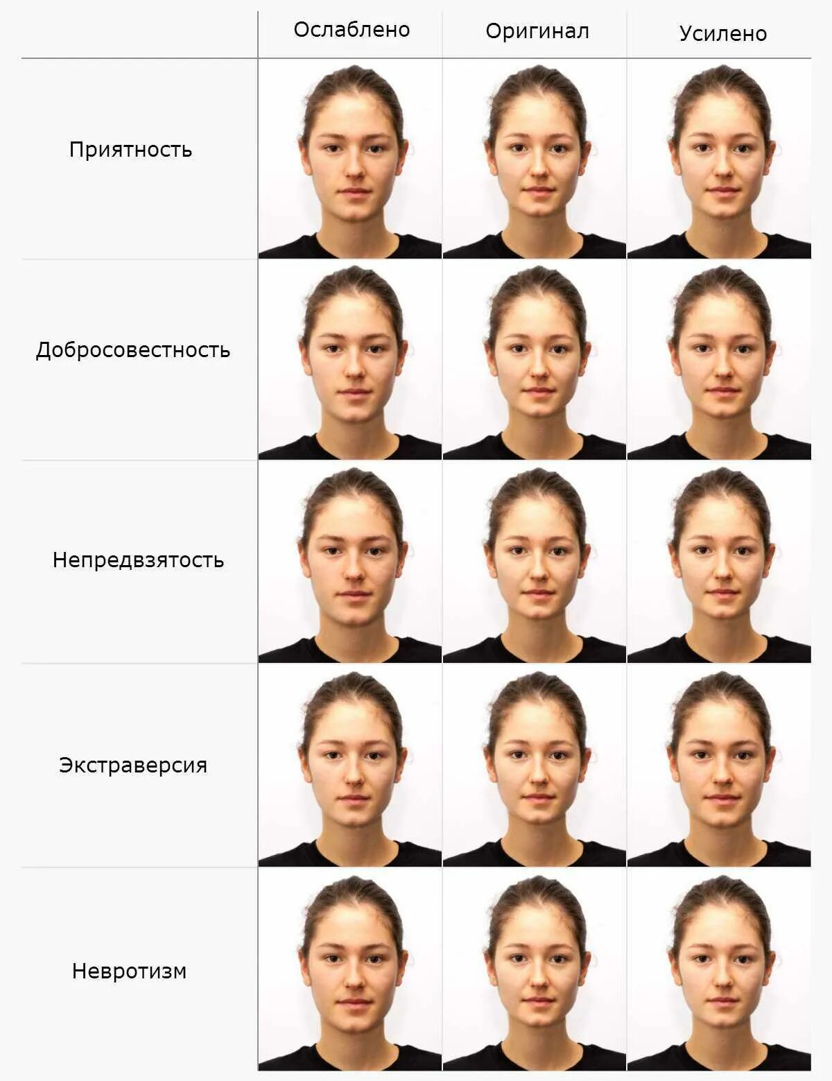 Энергетический типаж личности. Добрые черты лица. Отличительные черты лица. Черты лица типы. Черты лица человека.