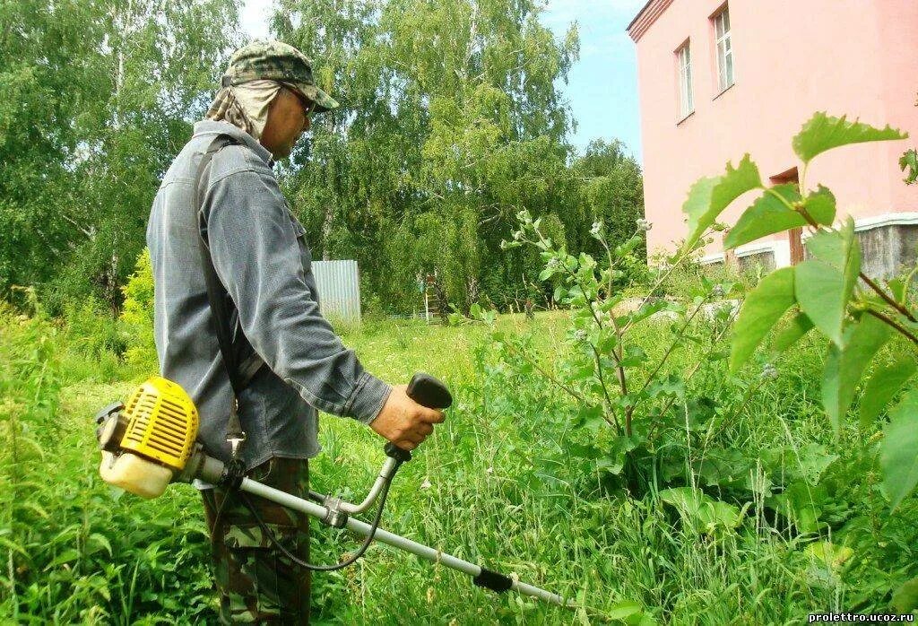 Сорняки на участке. Борьба с сорняками. Прополка травы. Химический метод борьбы с сорняками. Борьба с сорняками на участке