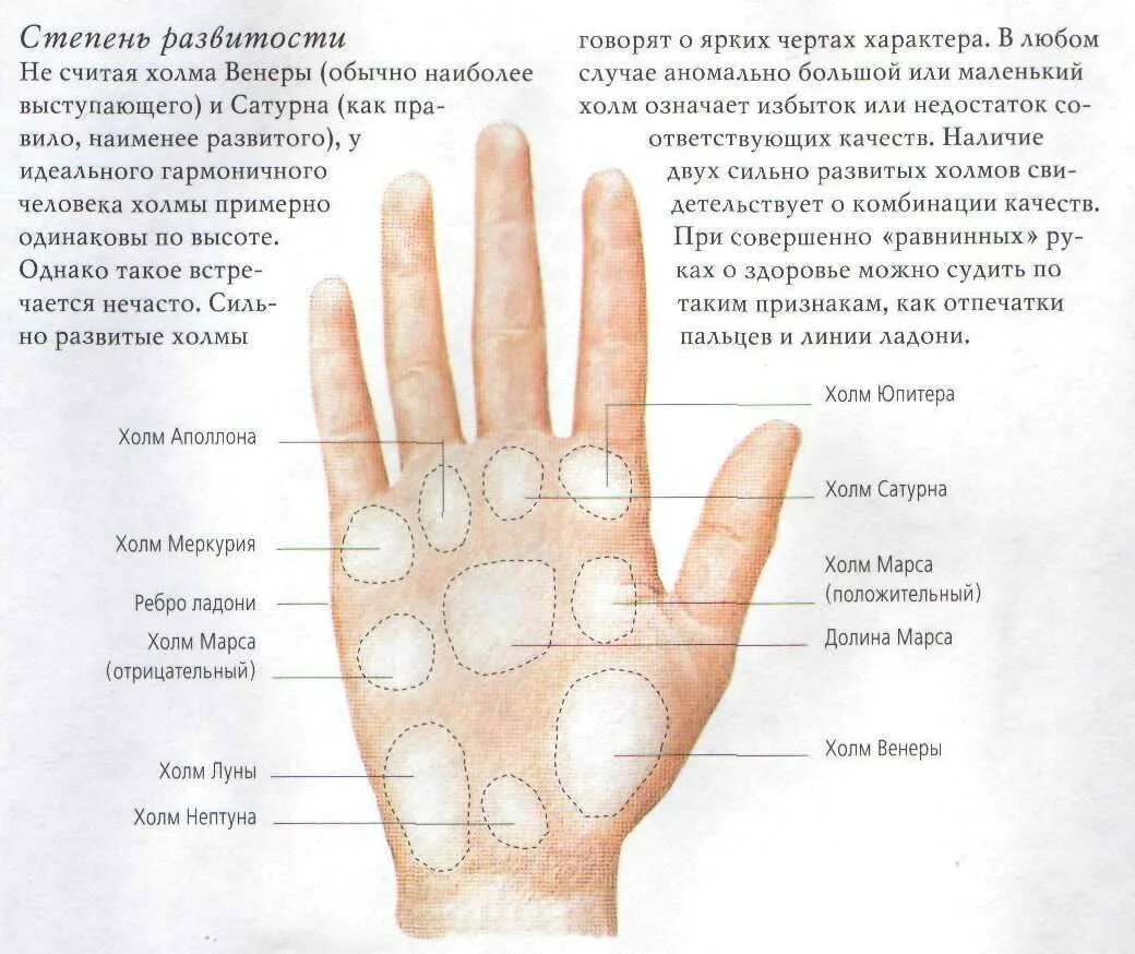 Болит под большим пальцем руки. Части ладони. Части ладони названия. Ладонь название. Точки на тыльной части ладони.