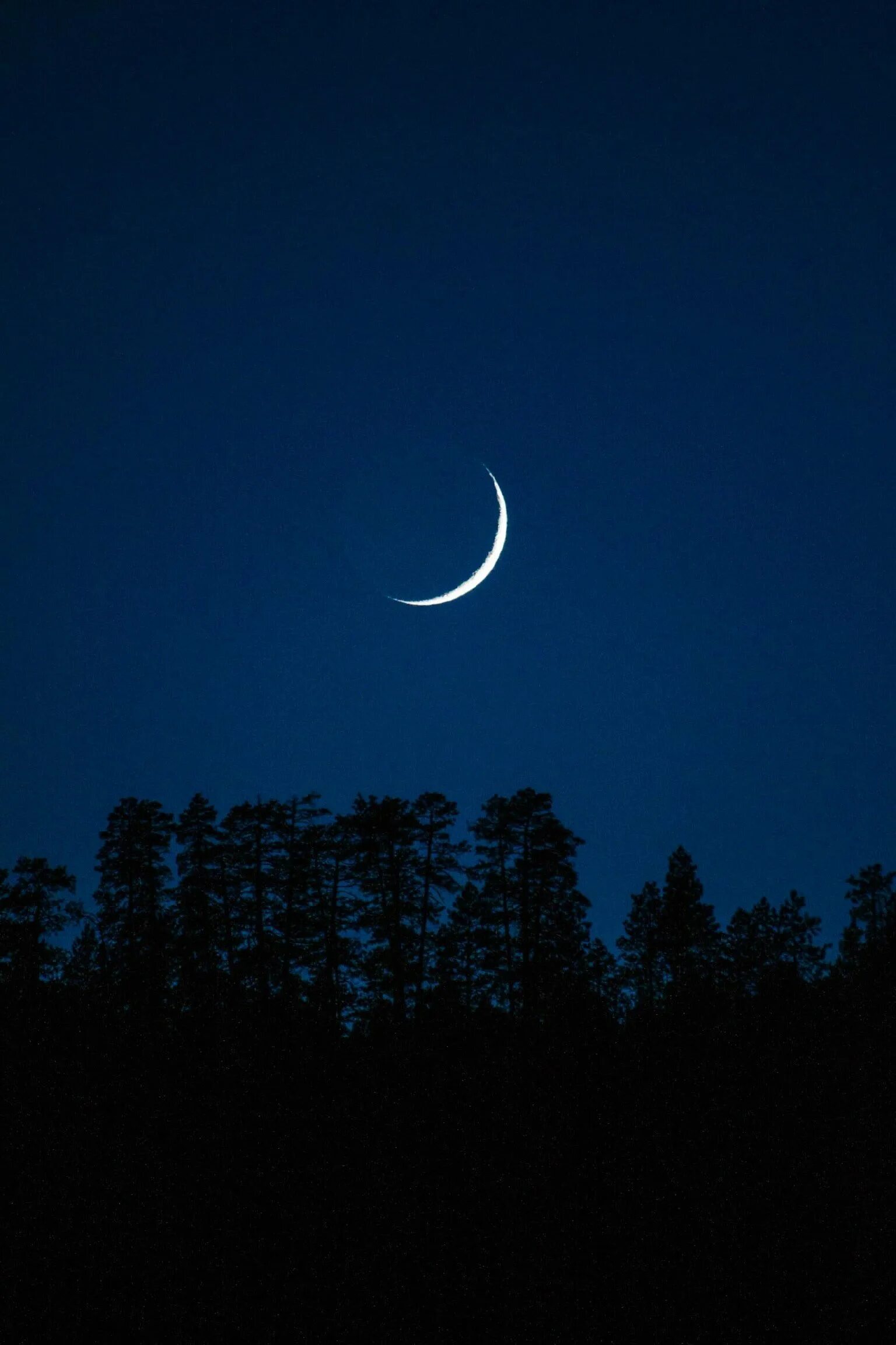 Самый прекрасный месяц. Луна месяц. Месяц на небе. Ночь месяц. Полумесяц ночью.