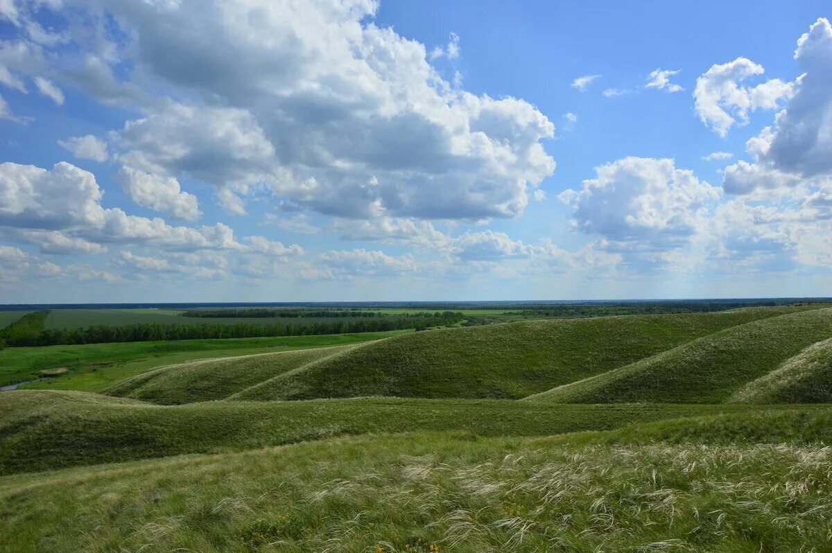 родные просторы оренбург. село никитино саракташский район оренбургская область. кулундинская степь алтайский край. оренбургские просторы. просторы оренбургская область рисунок.