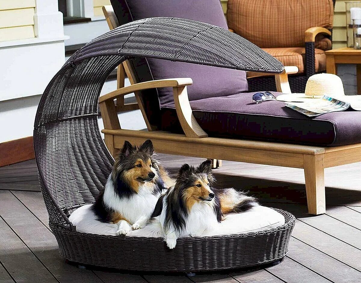 Собачья кровать для человека. Лежанка для собак. Лежанка домик для собаки. Стильные лежанки для кошек. Спальное место для кошки.