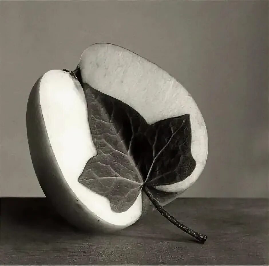 Чема мадоз фотограф работы. Chema madoz испанский фотограф. Chema madoz фотографии. Чема мадоз фотограф. Чема мадоз (chema madoz).