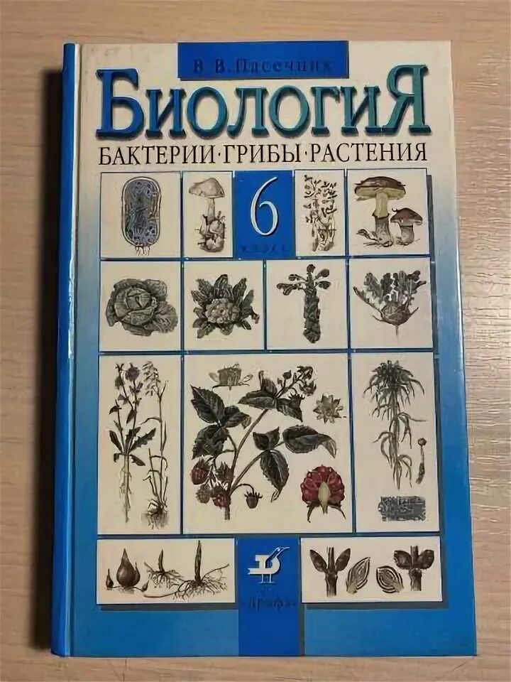 Пасечник в. в. биология. 6 Класс // Дрофа.. Пасечник биология 6 класс Издательство Дрофа. Биология 6 класс бактерии грибы растения. Пасечник 6 класс бактерии грибы растения.