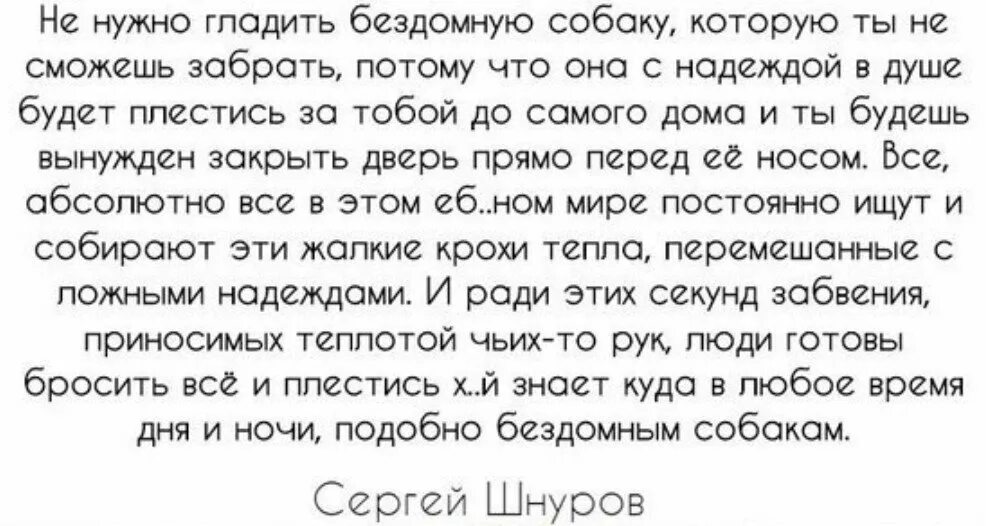 Так устроено что дети текст. Шнур для собаки. Шнуров цитаты про отношения. Фраза шнура про отношения. Цитаты Шнурова про отношения.