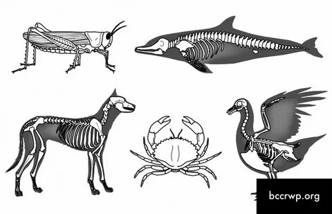 Порно жатырдың ішкі оргазмы