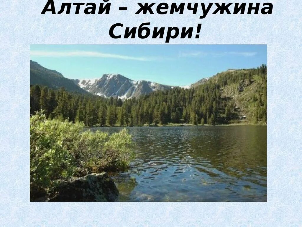 Алтайс. Алтайский край Жемчужина Сибири. Алтай презентация. Проект Алтайский край. Слайд про Алтай.