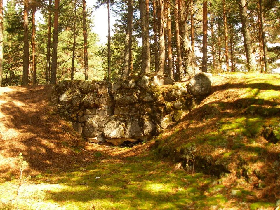 Республиканский ландшафтный заказник Мозырские овраги. Лесной овраг. Овраг в лесу. Лесистый овраг. Шуршат лопухи