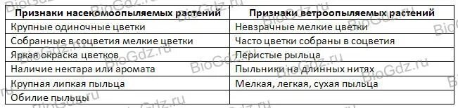 Перечислите признаки ветроопыляемых и насекомоопыляемых растений. Назовите признаки ветроопыляемых и насекомоопыляемых растений. Признаки ветроопыляемых и насекомоопыляемых растений таблица 6 класс. Признаки ветроопыляемых растений 6 класс биология примеры. Признаки ветроопыляемых растений 6 класс биология примеры.
