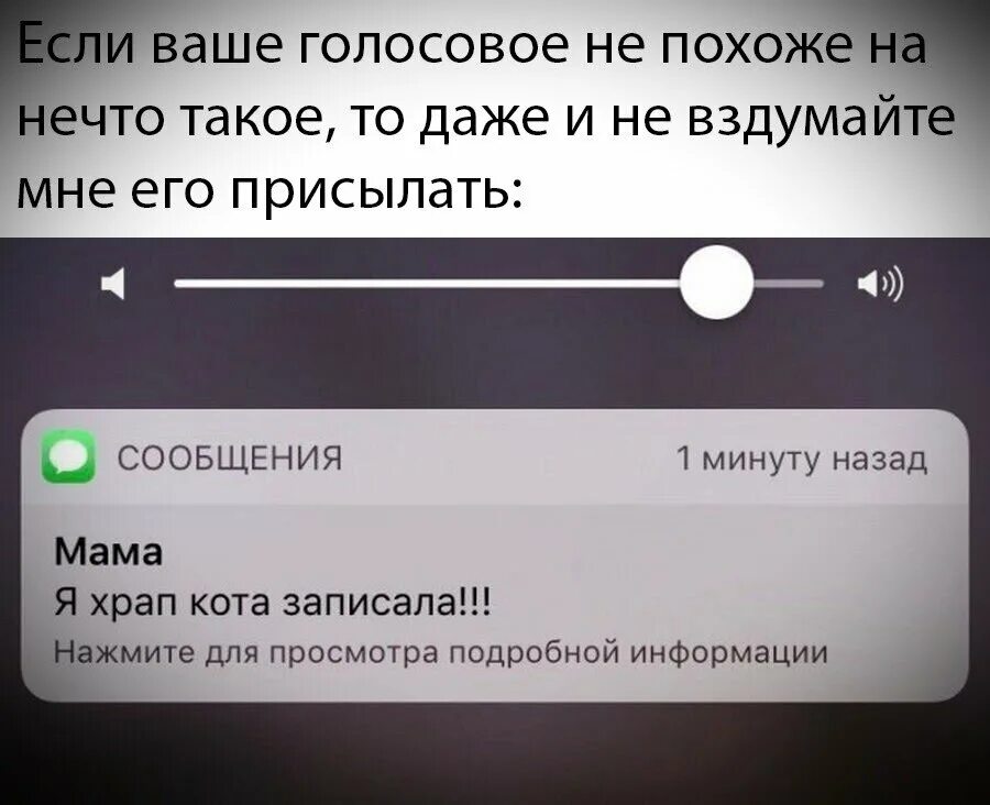 Голосовое на 2 часа. Голосовые сообщения прикол. Шутки про голосовые сообщения. Мемы про голосовые сообщения. Бесят голосовые сообщения.