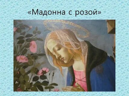 Мадонна с розой