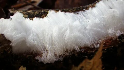 Ice hair