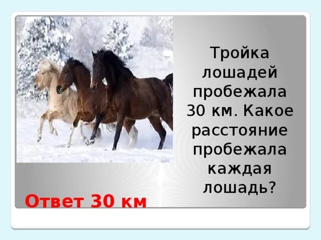 Тройка лошадей пробежала. Бежала тройка лошадей каждая лошадь пробежала 5. Тройка лошадь лошадей пробежала 30 км. Тройка лошадей пробежала 30 км сколько км пробежала каждая лошадь.