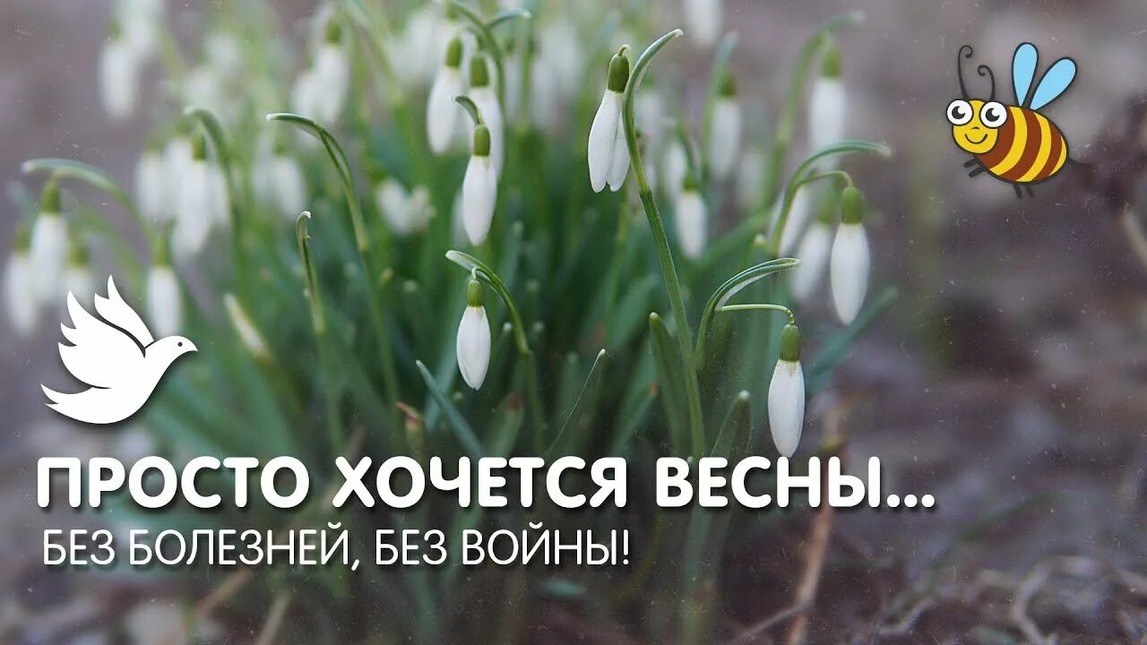 Хочется весны без войны. Просто хочется весны без болезней без войны. Хочется весны. Хочетсявесны бещ болезней бещ воыны.