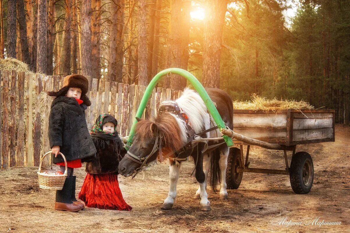 смешные ситуации в семье. забота о свежести. заботливая семья. семья и быт. будничные заботы.