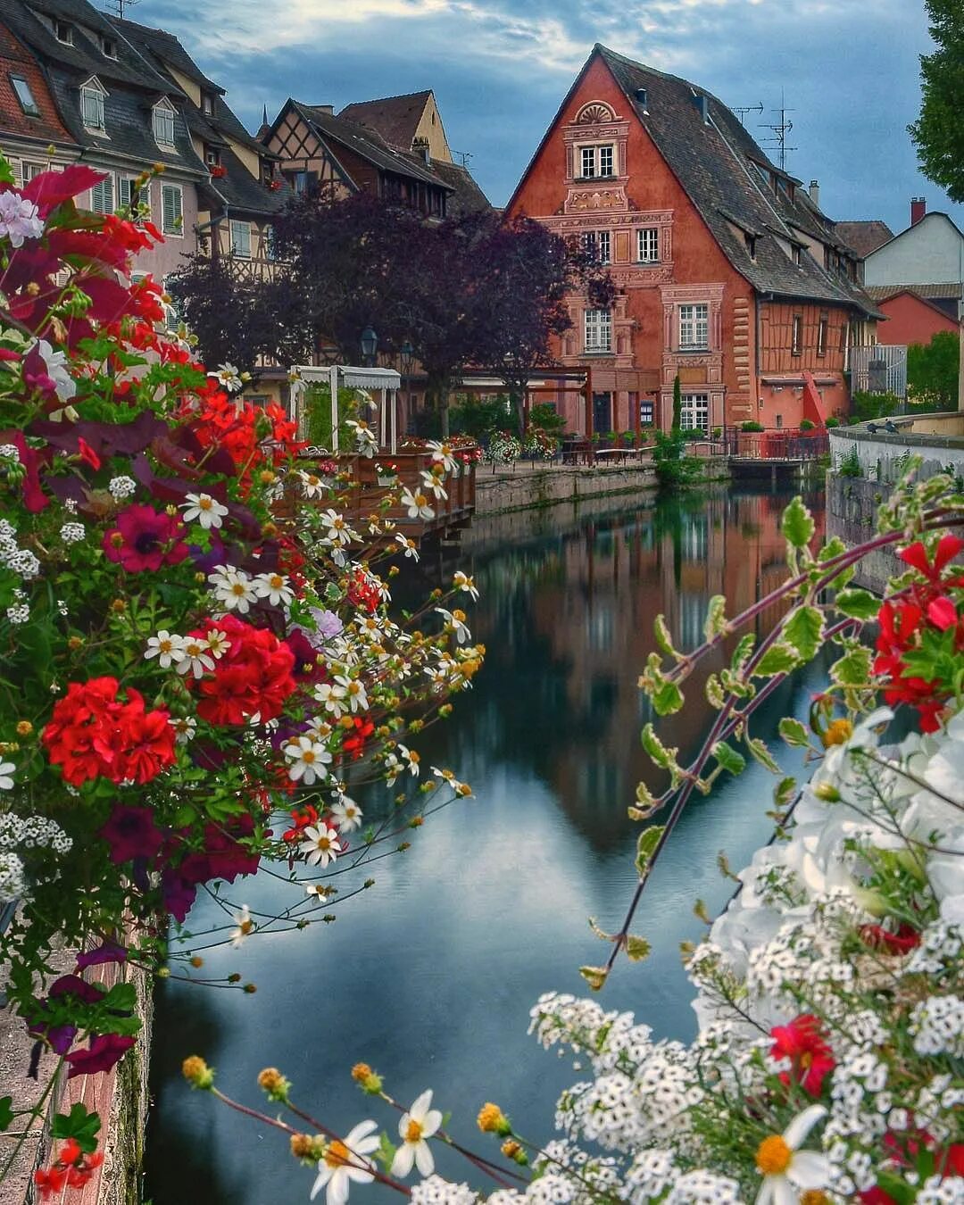 Amazing around. Эльзас Франция природа. Кольмар Франция картина. Цветы Кольмар Франция. Красивые места Европы.