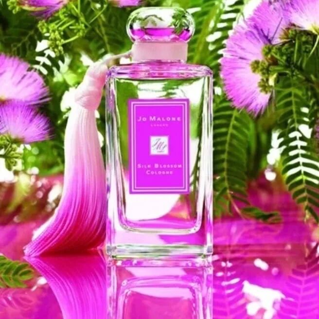 Силк блоссом Джо малоне. Jo Malone Silk Blossom. Silk Blossom Jo Malone London. Духи Jo London Silk Blossom. New blossom