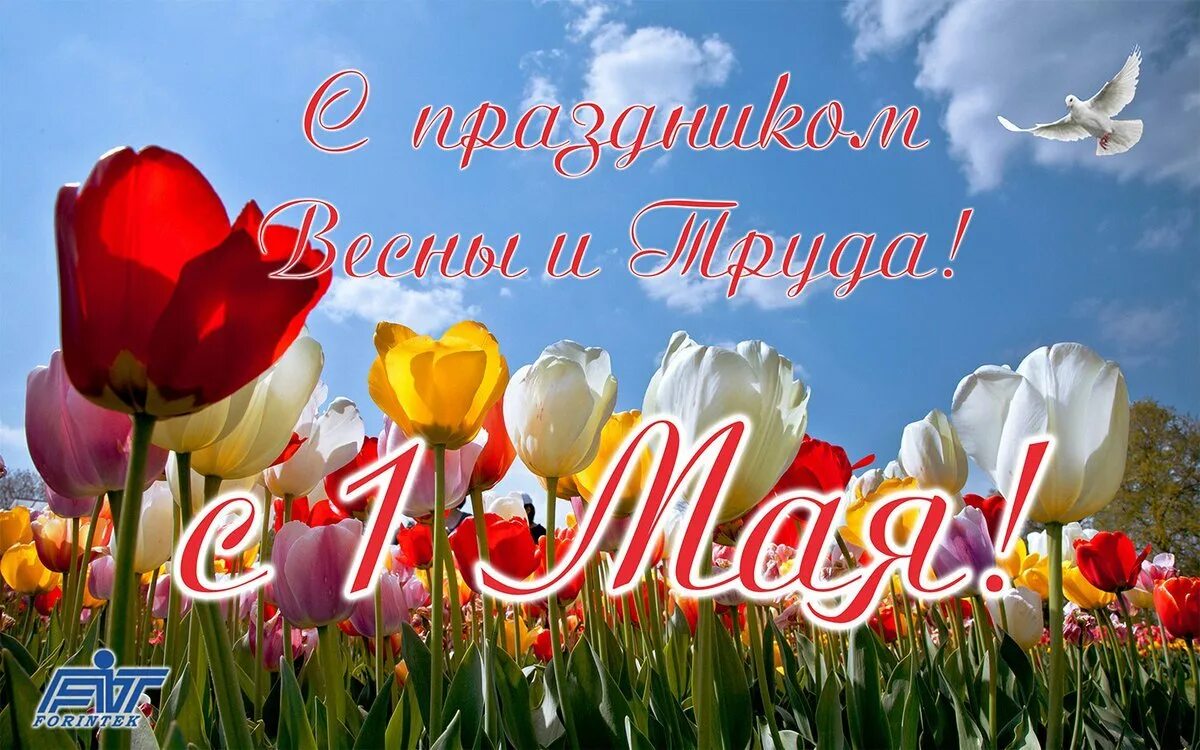 1 мая какой праздник официальное название. 1 Мая. 1 Мая праздник. 1 Мая праздник весны и труда. Поздравление с 1 мая.