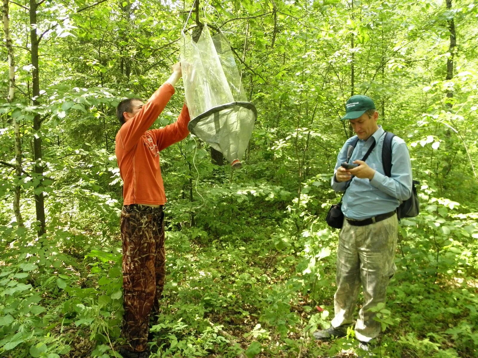 рыба в мышеловке. полный садок карасей. ловушка для хорька. ловля сачком. коты на рыбалке.