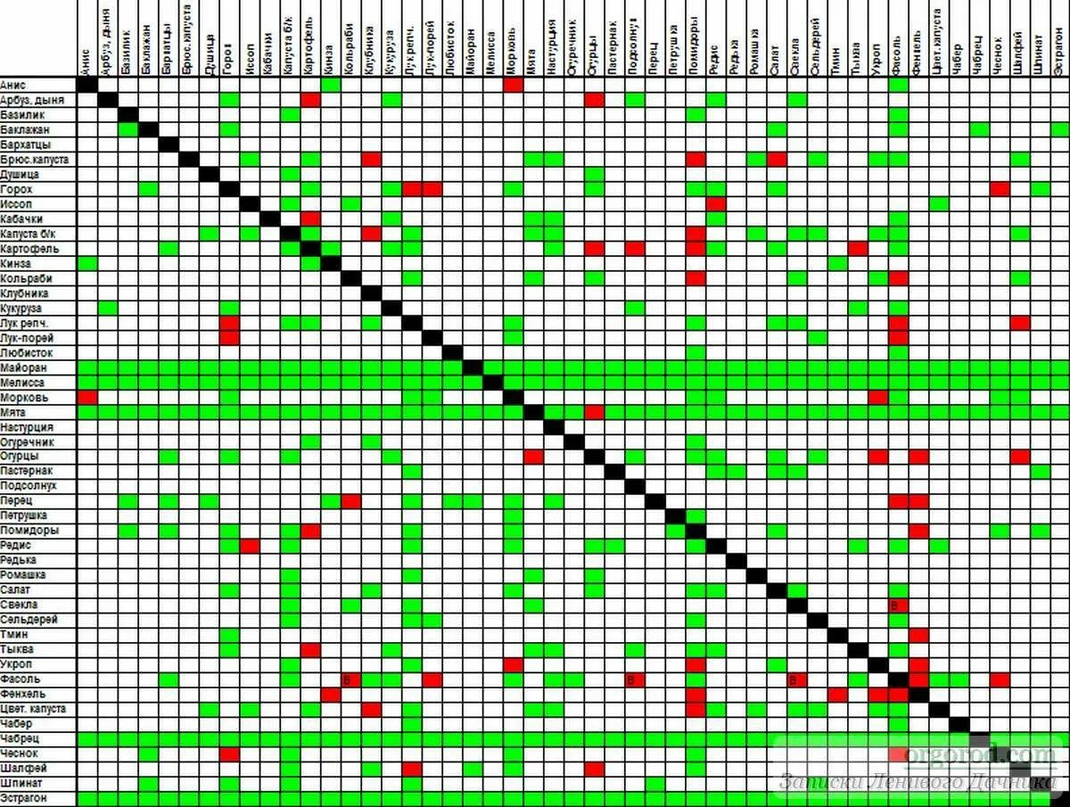 Соседство овощей на грядках таблица. Аллелопатия растений таблица совместимости. Таблица совместимости посадок овощных культур. Совместная посадка овощей на одной грядке таблица. Соседство с другими материками