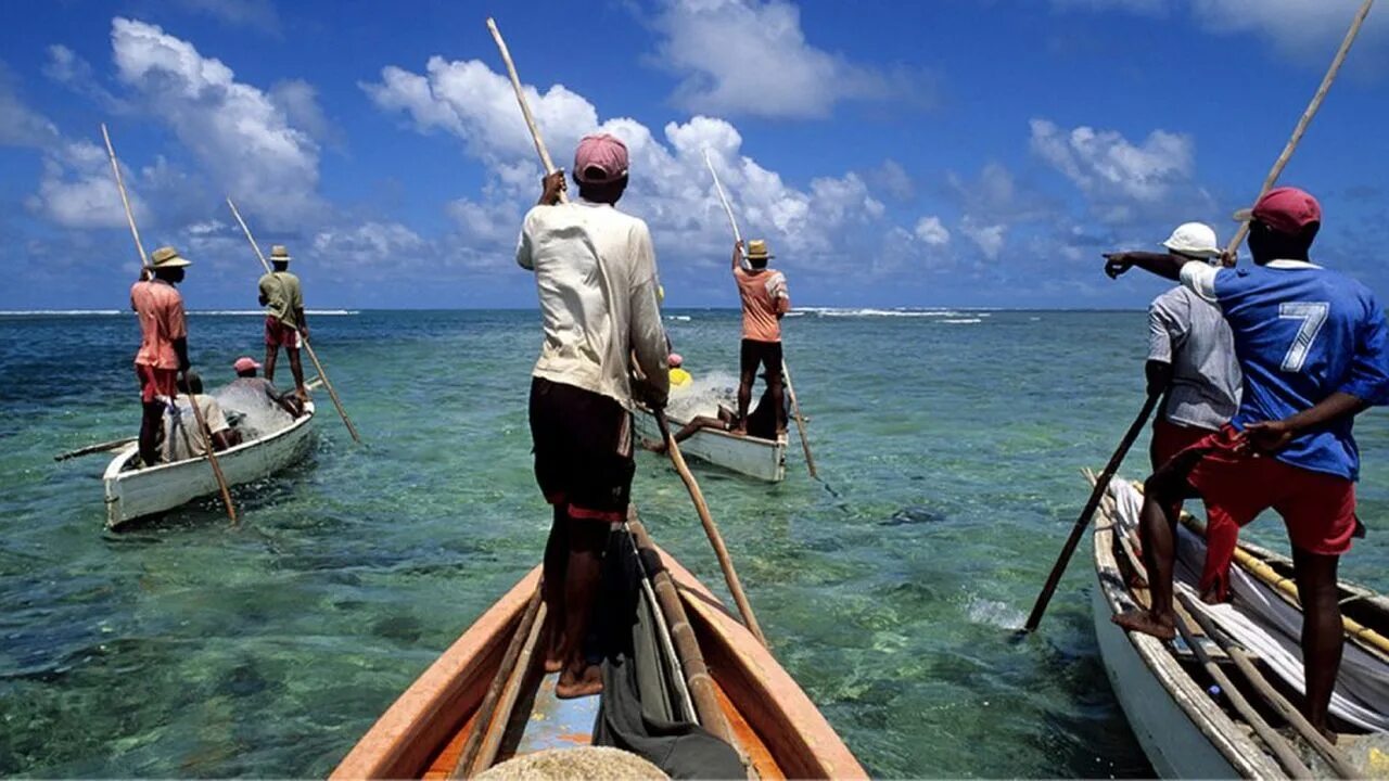 Рыболовство в Индии. Рыболовство в индийском океане. Хозяйственная деятельность индийского океана. Хозяйственная деятельность человека в индийском океане.