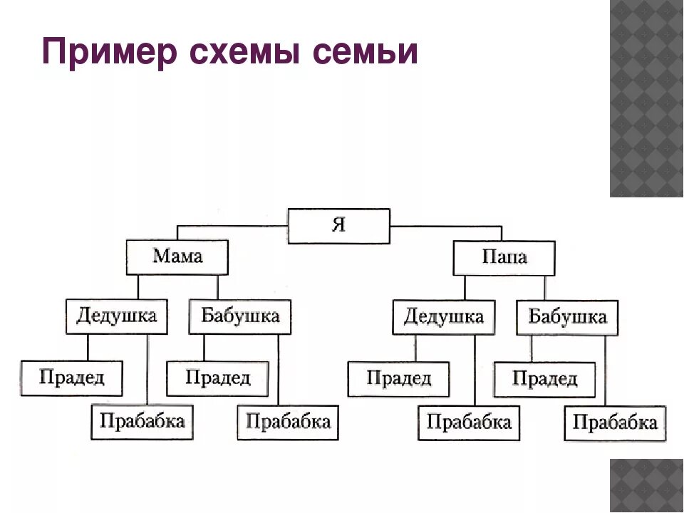 Дедушка по линии отца. Как называется схема родословной семьи. Родословная схема 2 класс. Родословная семьи таблица. Как составить родословная семьи схема.