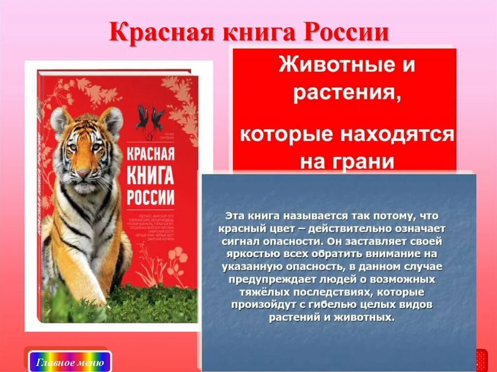 Проект 4 класс красная книга нашего края. Красная книга России. Красная книга России картинки животных. Проект красная книга Российской Федерации. Библиотечный урок по страницам красной книги Дагестана.