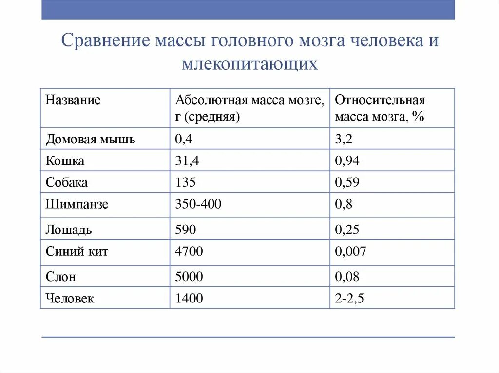 Относительная масса мозга. Относительная масса мозга человека. Абсолютная масса мозга это. Мозг человека и млекопитающих сравнение.