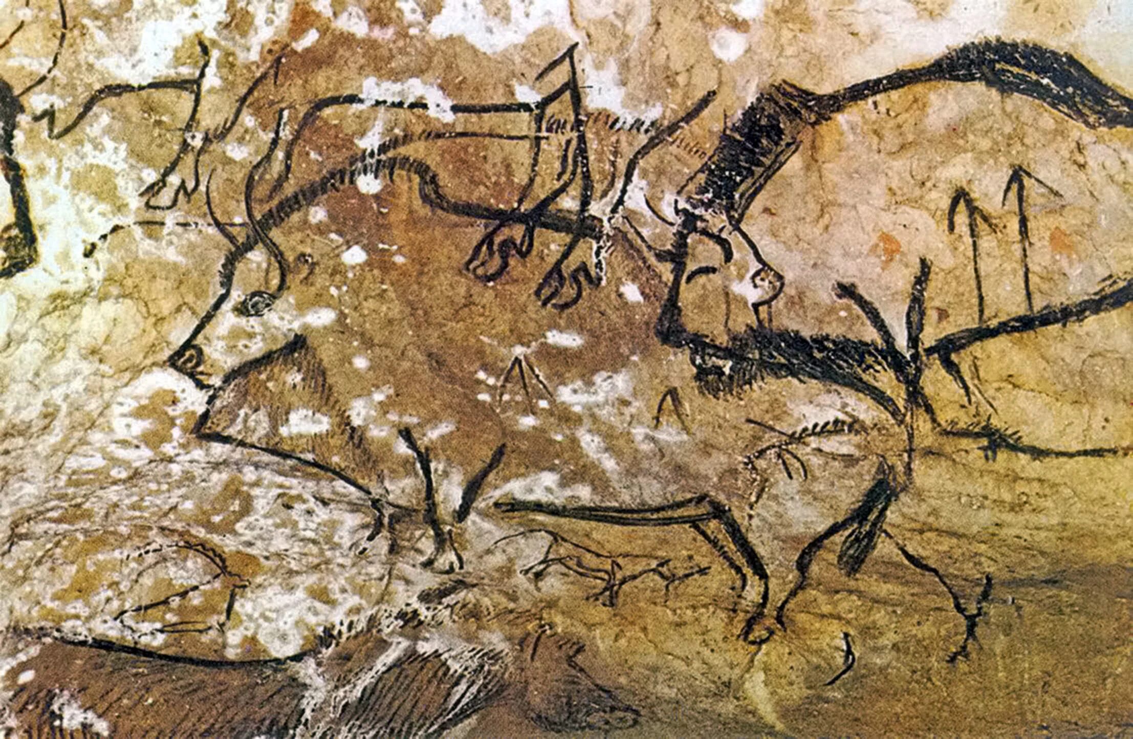 Росписи в пещере Руффиньяк. Наскальная живопись пещера Руффиньяк. Мамонт пещера Руффиньяк. Мамонт из пещеры Руффиньяк.
