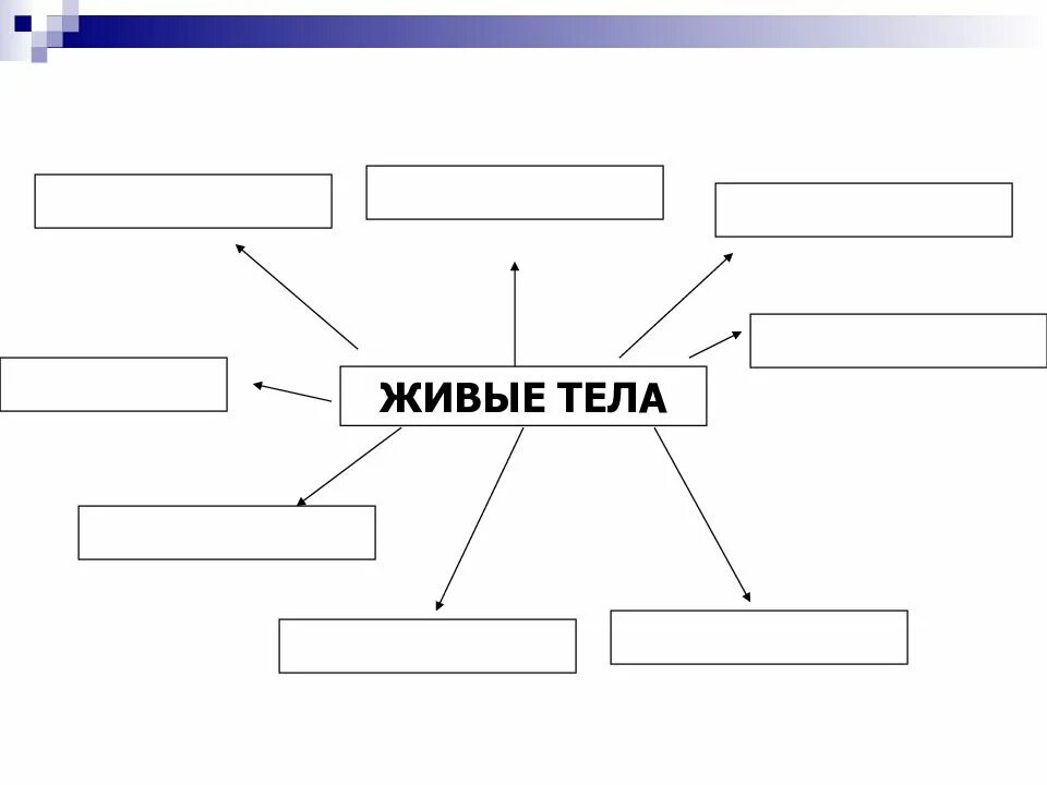 Свойства живого 6 класс. Свойства живого схема. Свойства живых организмов 5 класс. Общие свойства живых организмов схема. Схемасвойсьва житвого.