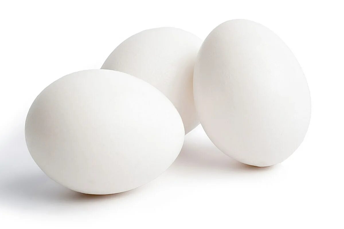 Яйцо белое. Яйцо на белом фоне. Яйцо куриное на белом фоне. Белое яйцо на белом фоне. All eggs in sols rng