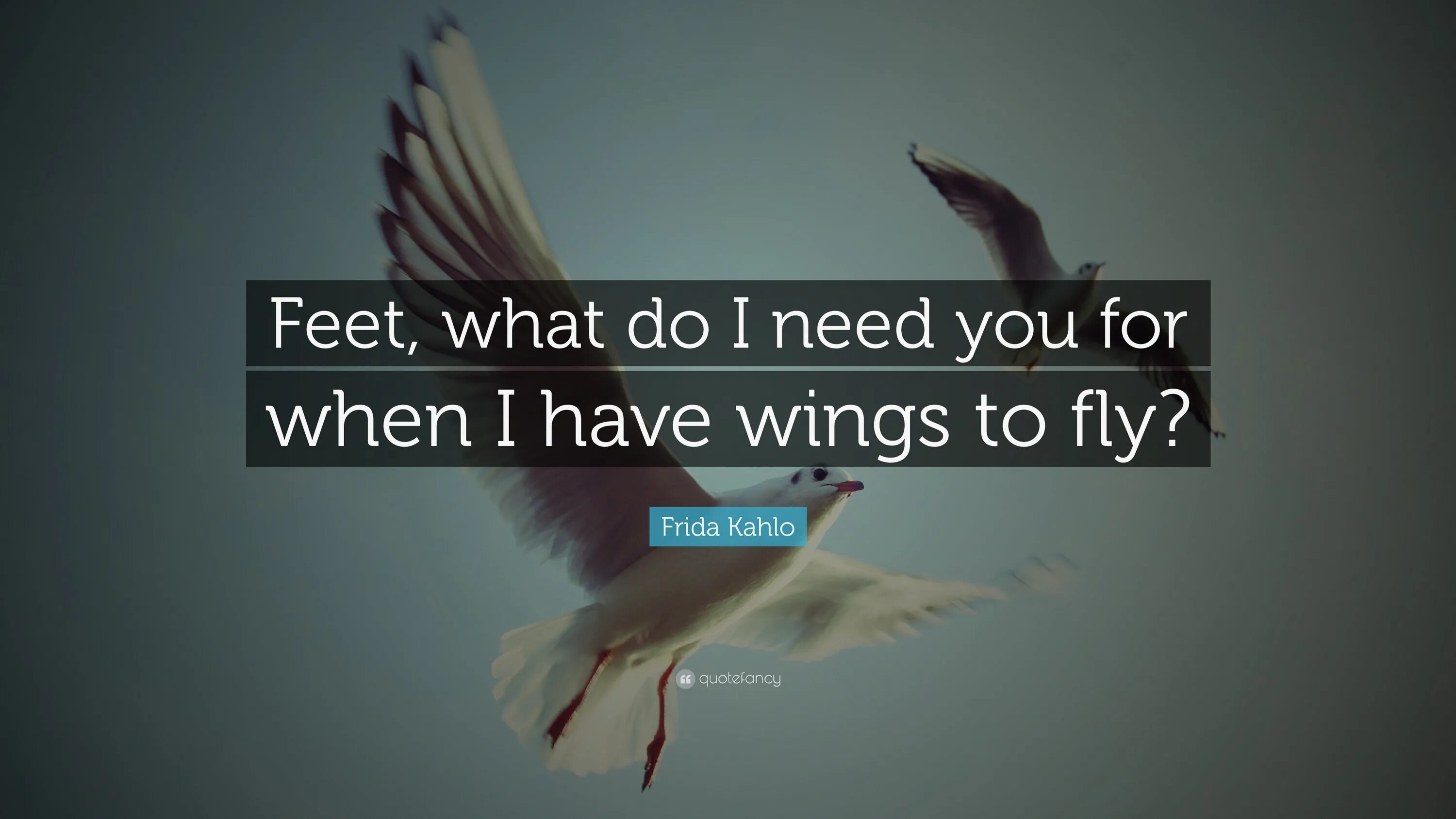 When i need you. Intelligence without ambition is a bird without wings. once you have tasted flight. once you have tasted flight цитата. no one is free, even the birds are chained to the sky тату.