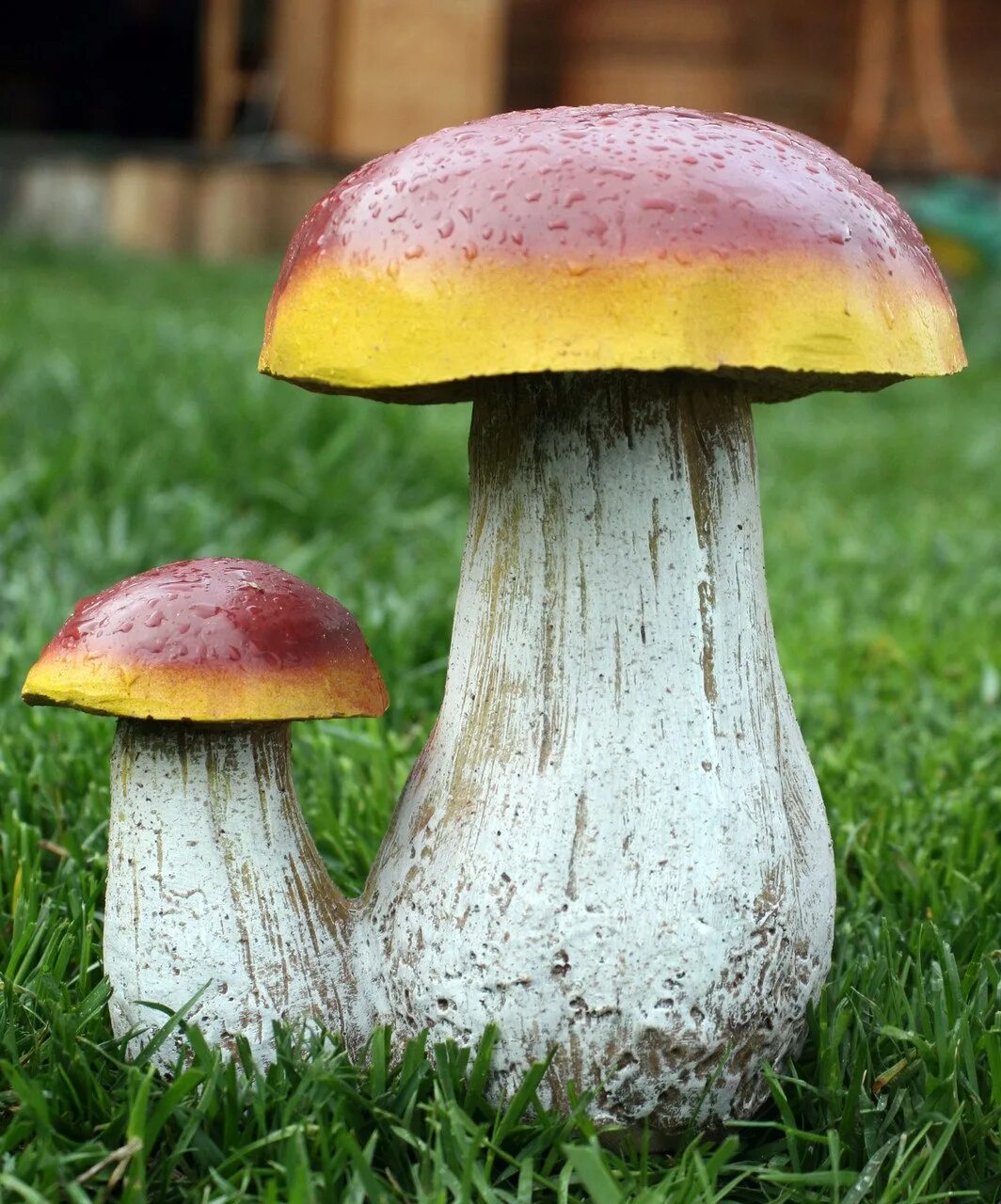 Image for profile picture Mushroom head. № 3225