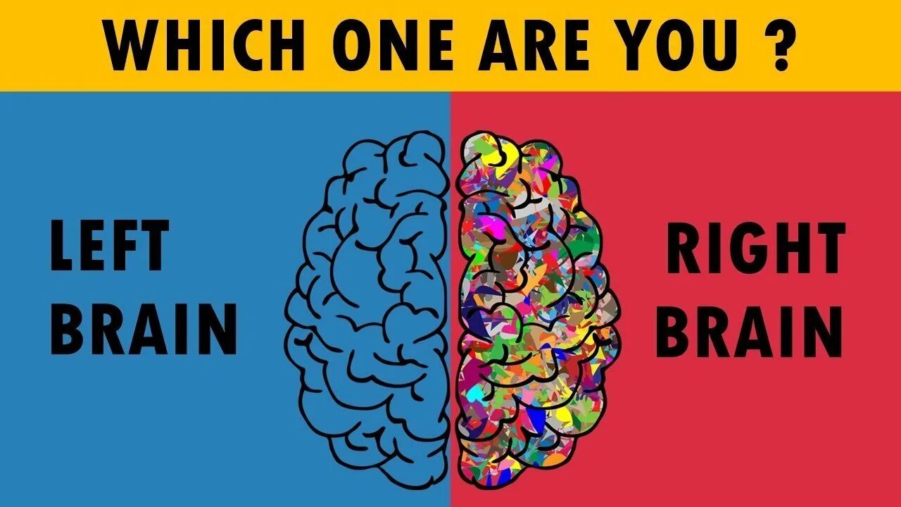 Leave the brain. Мозг мышление. Left and right Brain. Right or left Brain. Are you right or left Brain.