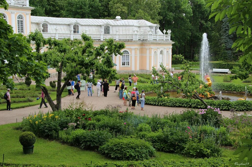 твой сад 3. уголок заросшего сада. ру. твой сад краснодарский край питомник-саженцы. частный сад елены цыганковой.