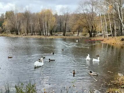 Расписание автобусов старый оскол новокладовое 122