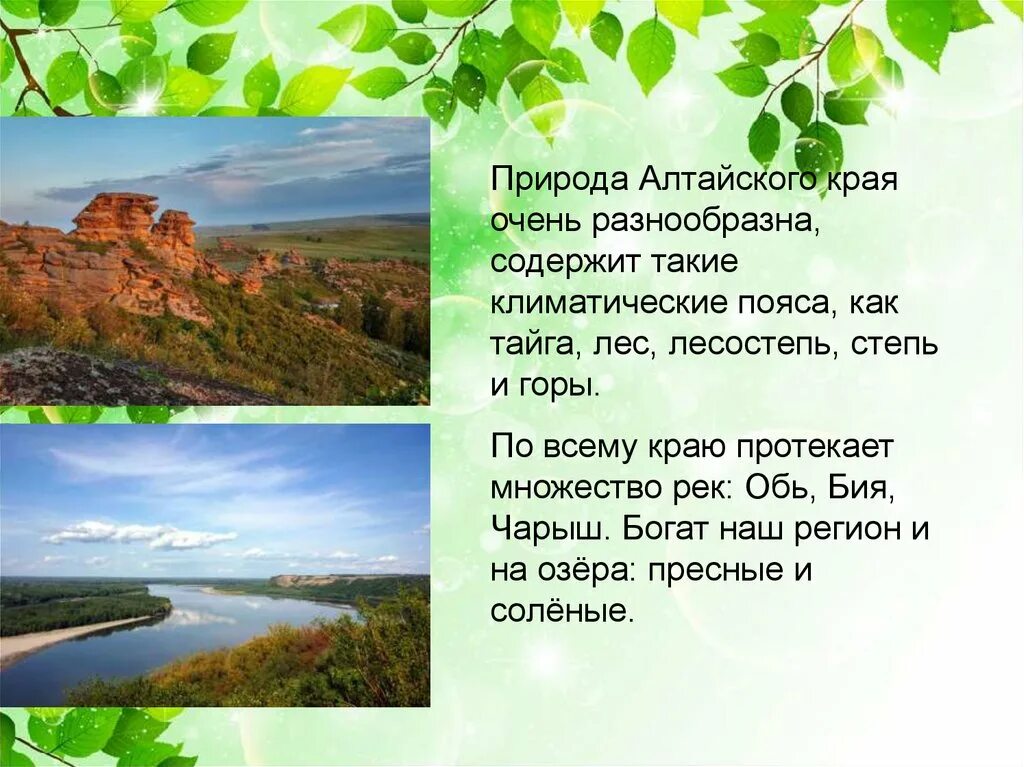 Красота родного края рассказ. Разнообразие природы Алтайского края. Природа Алтайского края презентация. Проект разнообразие природы Алтайского края. Рассказ о природе Алтайского края.