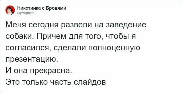 Как уговорить маму на собаку. Как заставить родителей купить собаку. Как уговорить родителей купить собаку если они категорически против. Как уговорить маму купить собаку. Как уговорить родителей завести собаку.