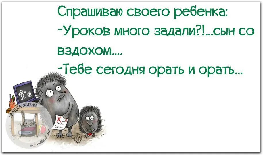 Сколько уроков задали. Много уроков тебе орать и орать. Много уроков задали. Тебе сегодня орать и орать. Спрашиваю у сына уроков много.